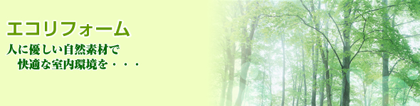 GRtH[@lɗDRfނŉKȎEEEbtH[b